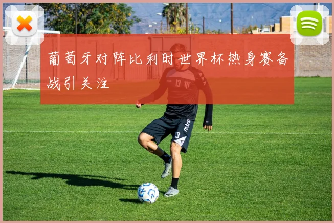 葡萄牙对阵比利时世界杯热身赛备战引关注