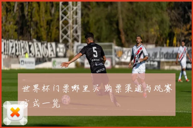 世界杯门票哪里买 购票渠道与观赛方式一览