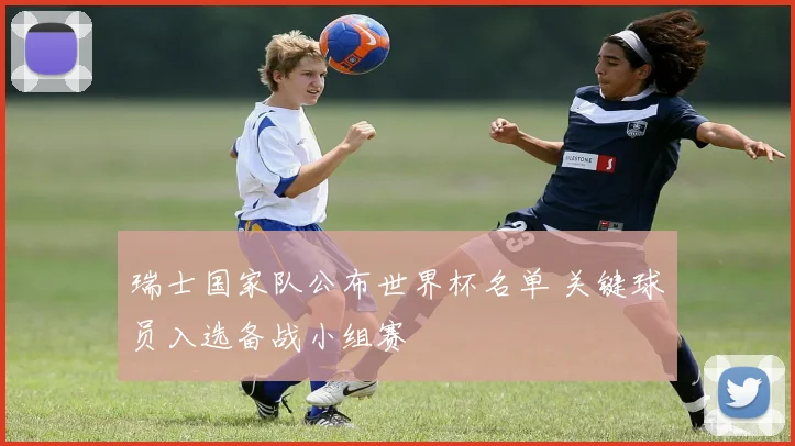 瑞士国家队公布世界杯名单 关键球员入选备战小组赛