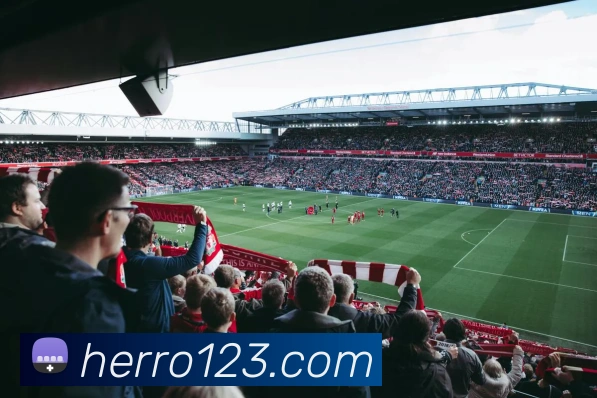 三亿体育官网登录入口服务体系